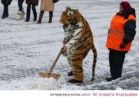 /album/coisa-estranha/foto-estranha-16-jpg/